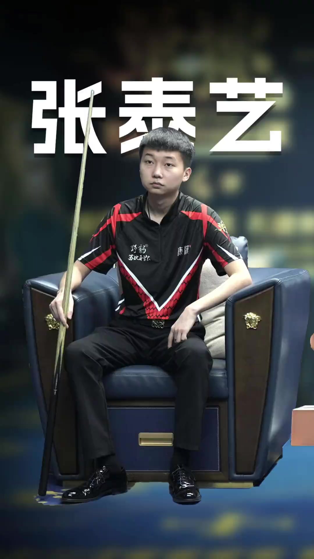 支持起到了 支持起到了