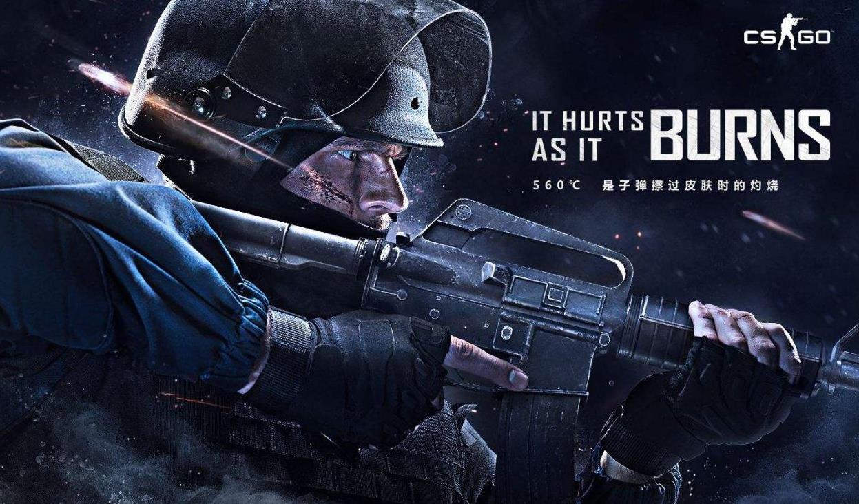 系统的功能 系统的功能