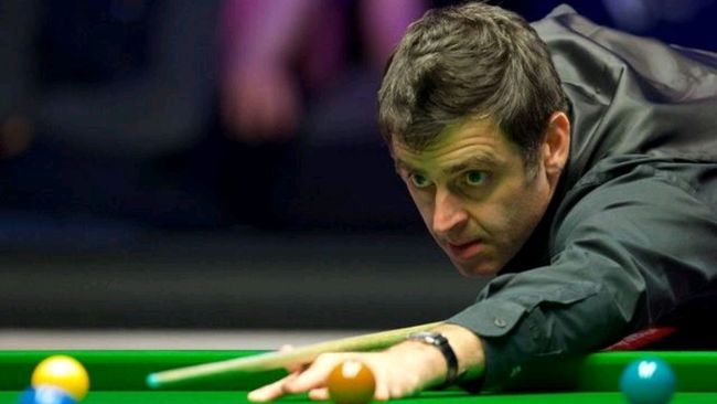 的出色表现 的出色表现