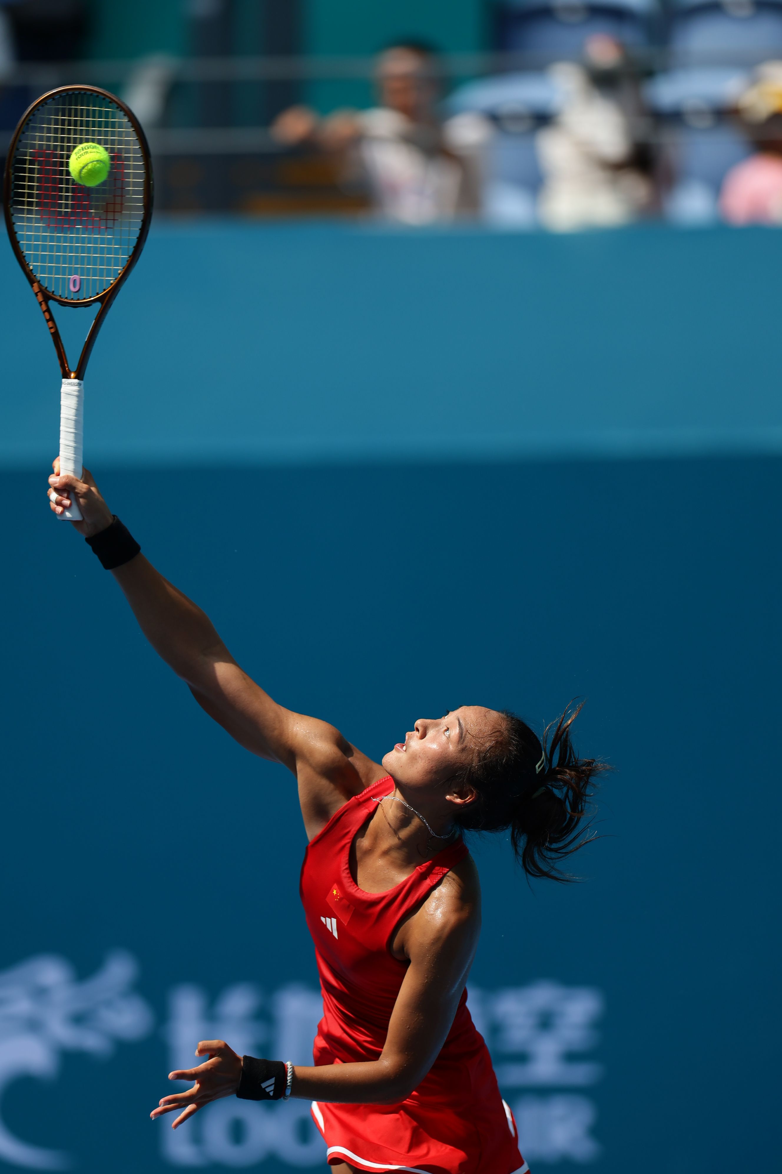 情感态度的 情感态度的