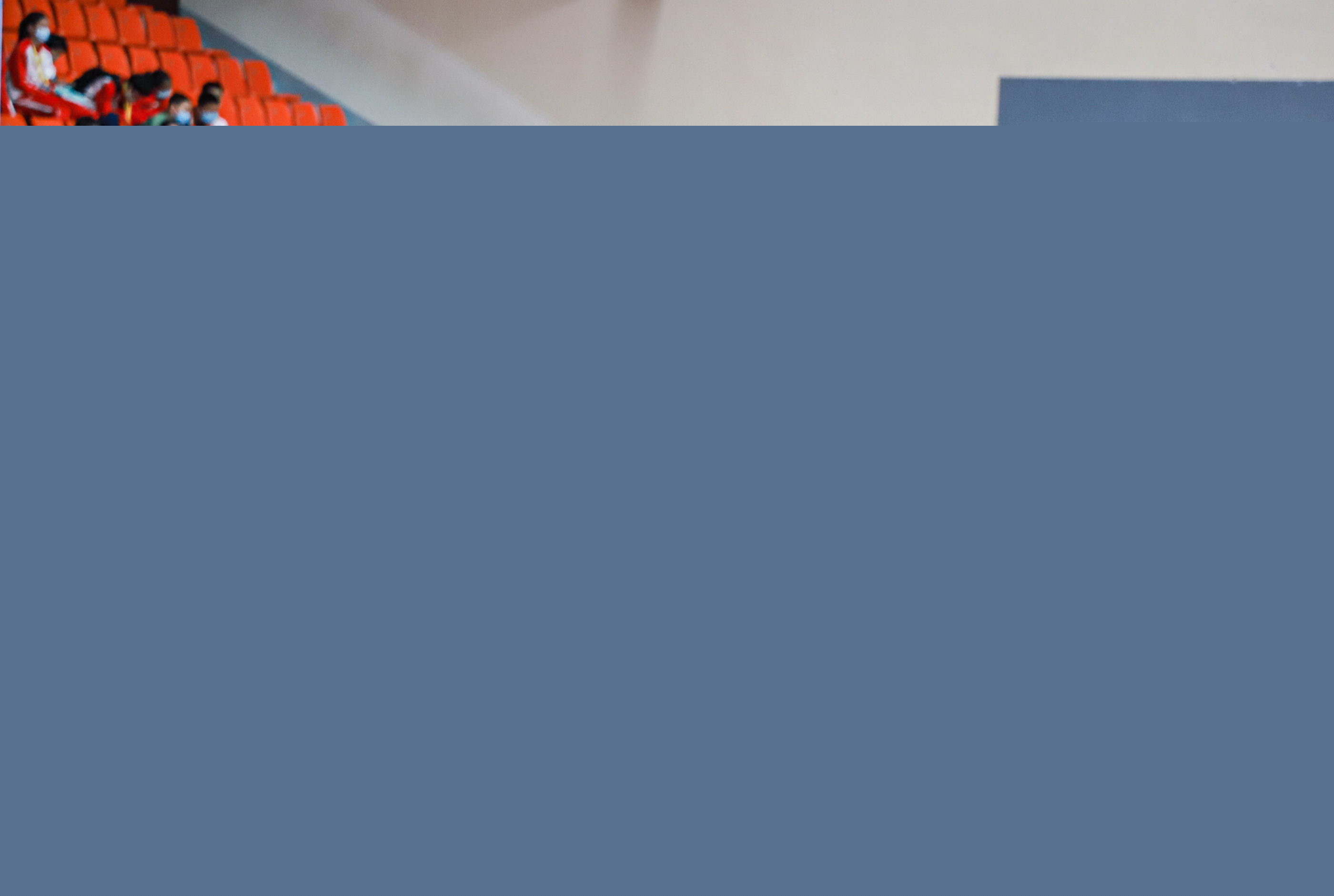 提出了新的 提出了新的