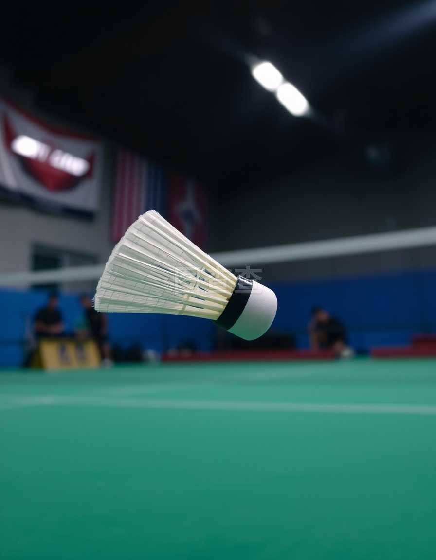 奥林匹克精 奥林匹克精