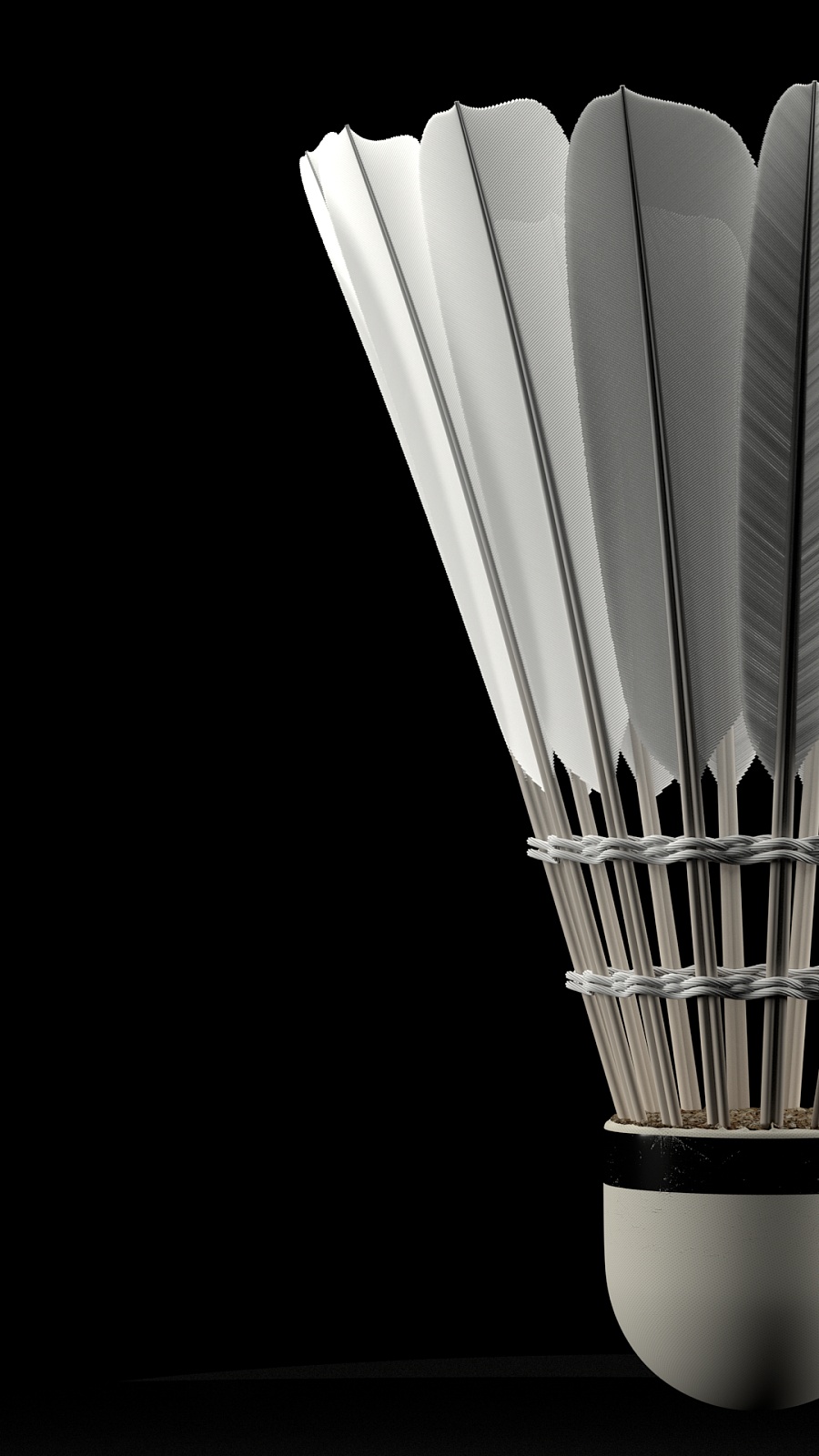 高水平运动 高水平运动