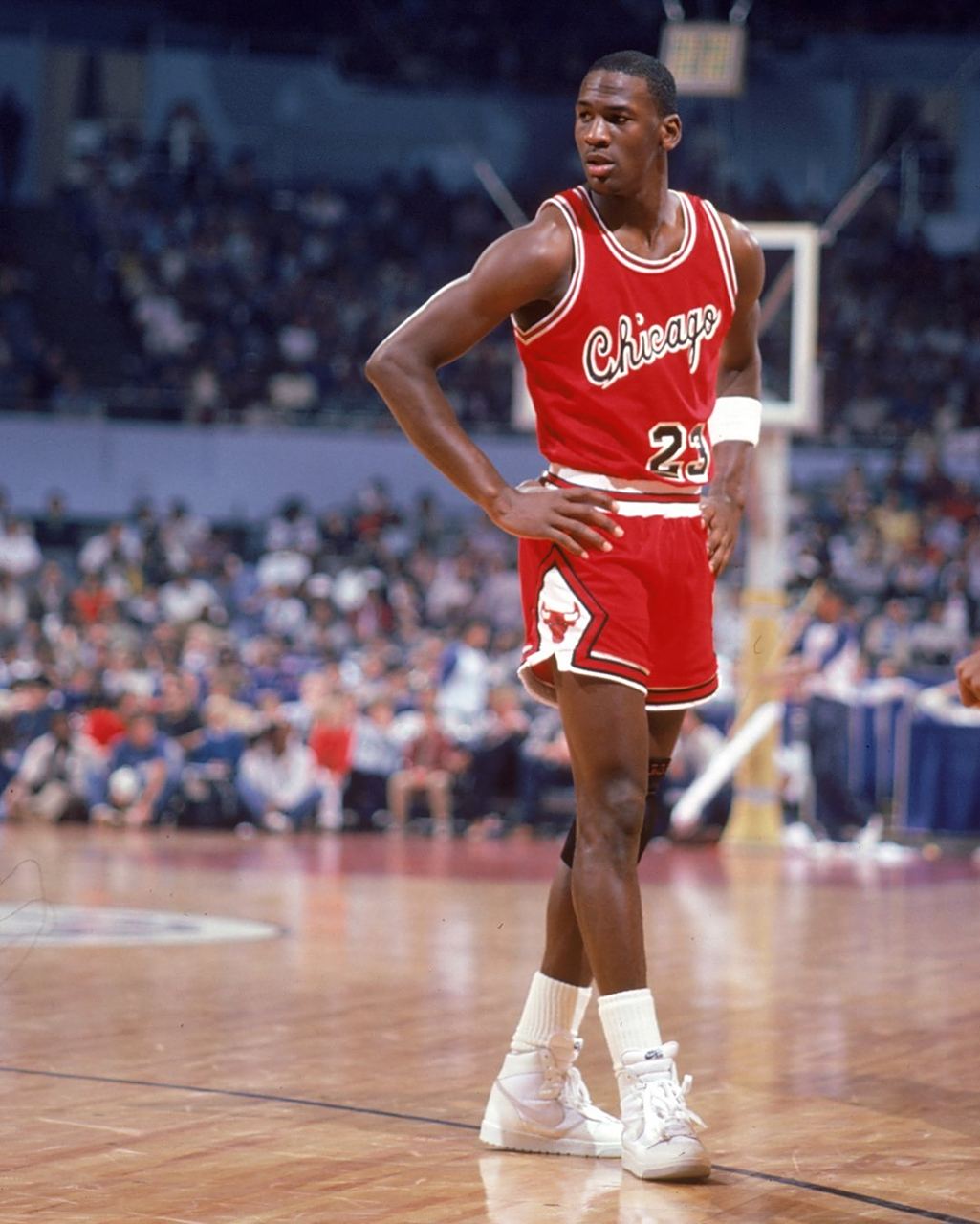 信任与支持 信任与支持